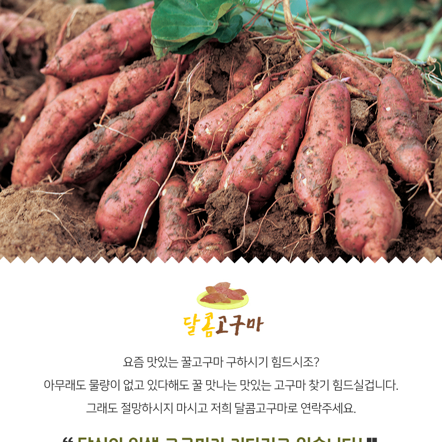 농장 01 샘플
